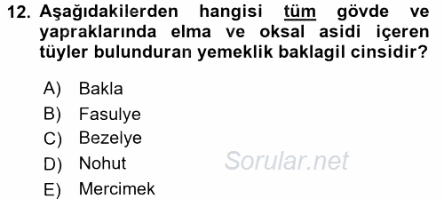 Tarla Bitkileri 1 2017 - 2018 Dönem Sonu Sınavı 12.Soru