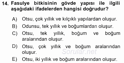 Tarla Bitkileri 1 2017 - 2018 Dönem Sonu Sınavı 14.Soru