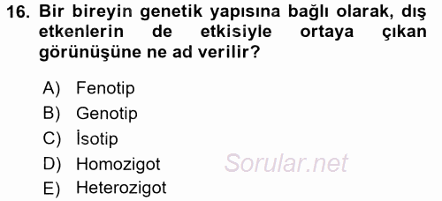 Tarla Bitkileri 1 2017 - 2018 Dönem Sonu Sınavı 16.Soru