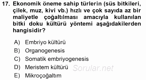Tarla Bitkileri 1 2017 - 2018 Dönem Sonu Sınavı 17.Soru