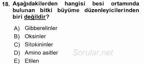 Tarla Bitkileri 1 2017 - 2018 Dönem Sonu Sınavı 18.Soru