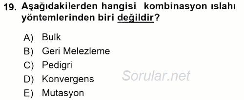 Tarla Bitkileri 1 2017 - 2018 Dönem Sonu Sınavı 19.Soru