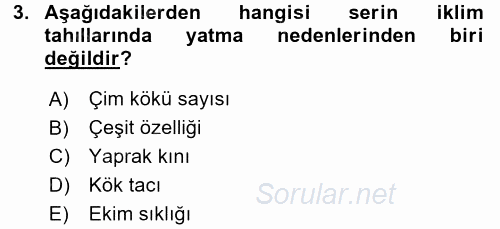 Tarla Bitkileri 1 2017 - 2018 Dönem Sonu Sınavı 3.Soru