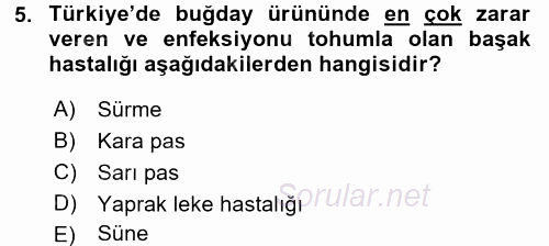 Tarla Bitkileri 1 2017 - 2018 Dönem Sonu Sınavı 5.Soru