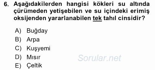 Tarla Bitkileri 1 2017 - 2018 Dönem Sonu Sınavı 6.Soru