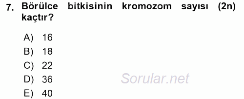 Tarla Bitkileri 1 2017 - 2018 Dönem Sonu Sınavı 7.Soru