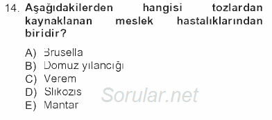 İş Sağlığı ve Güvenliği 2012 - 2013 Tek Ders Sınavı 14.Soru