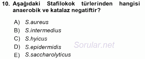 Veteriner Mikrobiyoloji ve Epidemiyoloji 2017 - 2018 Ara Sınavı 10.Soru