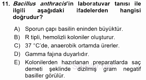 Veteriner Mikrobiyoloji ve Epidemiyoloji 2017 - 2018 Ara Sınavı 11.Soru