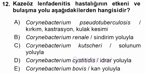 Veteriner Mikrobiyoloji ve Epidemiyoloji 2017 - 2018 Ara Sınavı 12.Soru