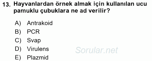 Veteriner Mikrobiyoloji ve Epidemiyoloji 2017 - 2018 Ara Sınavı 13.Soru