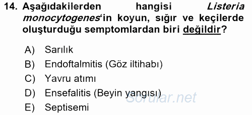 Veteriner Mikrobiyoloji ve Epidemiyoloji 2017 - 2018 Ara Sınavı 14.Soru