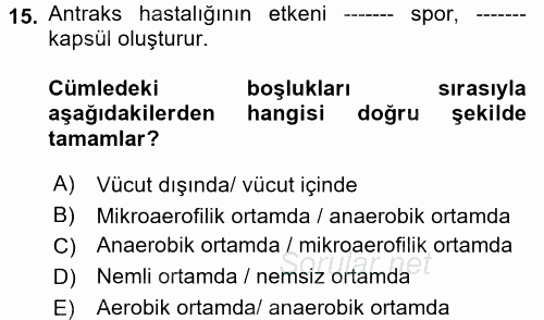 Veteriner Mikrobiyoloji ve Epidemiyoloji 2017 - 2018 Ara Sınavı 15.Soru