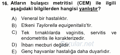 Veteriner Mikrobiyoloji ve Epidemiyoloji 2017 - 2018 Ara Sınavı 16.Soru