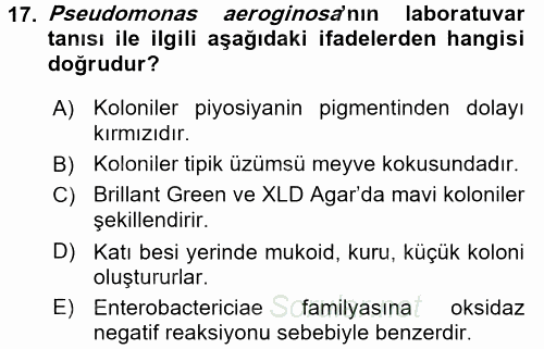Veteriner Mikrobiyoloji ve Epidemiyoloji 2017 - 2018 Ara Sınavı 17.Soru