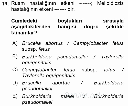 Veteriner Mikrobiyoloji ve Epidemiyoloji 2017 - 2018 Ara Sınavı 19.Soru