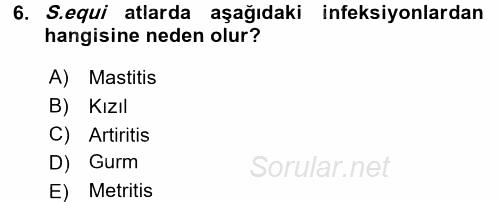 Veteriner Mikrobiyoloji ve Epidemiyoloji 2017 - 2018 Ara Sınavı 6.Soru