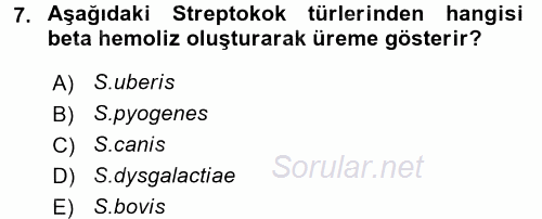 Veteriner Mikrobiyoloji ve Epidemiyoloji 2017 - 2018 Ara Sınavı 7.Soru