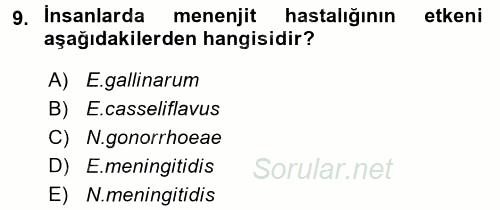 Veteriner Mikrobiyoloji ve Epidemiyoloji 2017 - 2018 Ara Sınavı 9.Soru