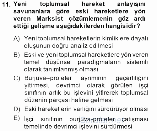 Yeni Toplumsal Hareketler 2013 - 2014 Ara Sınavı 11.Soru