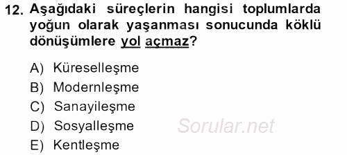Yeni Toplumsal Hareketler 2013 - 2014 Ara Sınavı 12.Soru