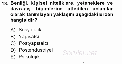 Yeni Toplumsal Hareketler 2013 - 2014 Ara Sınavı 13.Soru