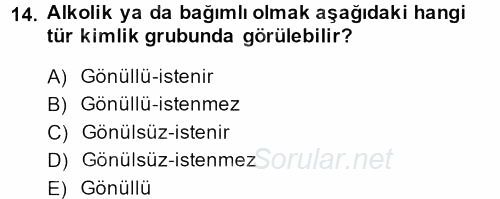Yeni Toplumsal Hareketler 2013 - 2014 Ara Sınavı 14.Soru