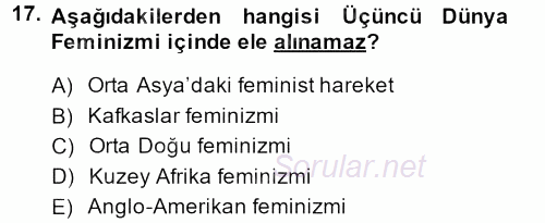 Yeni Toplumsal Hareketler 2013 - 2014 Ara Sınavı 17.Soru