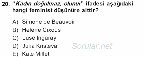 Yeni Toplumsal Hareketler 2013 - 2014 Ara Sınavı 20.Soru
