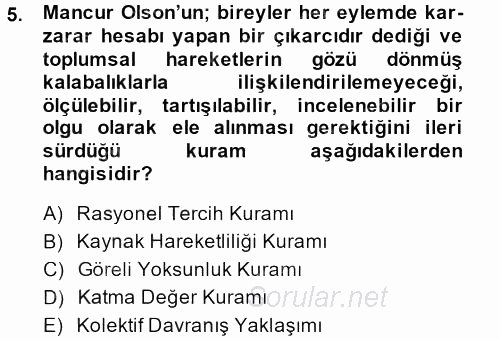 Yeni Toplumsal Hareketler 2013 - 2014 Ara Sınavı 5.Soru