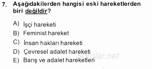 Yeni Toplumsal Hareketler 2013 - 2014 Ara Sınavı 7.Soru