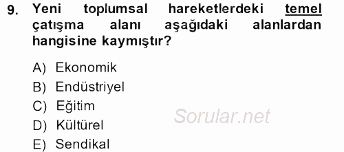 Yeni Toplumsal Hareketler 2013 - 2014 Ara Sınavı 9.Soru