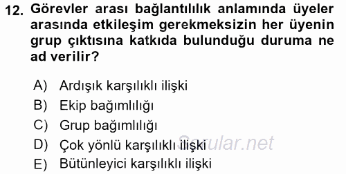 Sağlık Kurumları Yönetimi 2 2016 - 2017 Dönem Sonu Sınavı 12.Soru