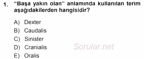 Temel Veteriner Anatomi 2013 - 2014 Tek Ders Sınavı 1.Soru
