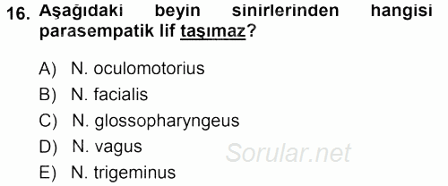 Temel Veteriner Anatomi 2013 - 2014 Tek Ders Sınavı 16.Soru