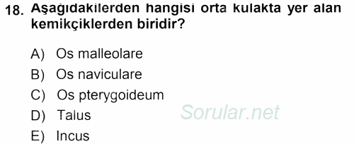 Temel Veteriner Anatomi 2013 - 2014 Tek Ders Sınavı 18.Soru