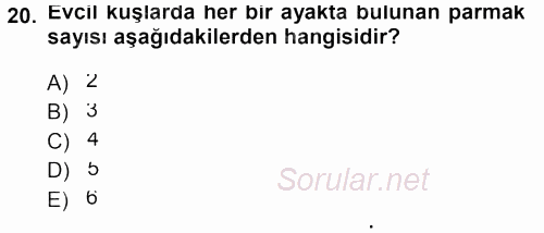 Temel Veteriner Anatomi 2013 - 2014 Tek Ders Sınavı 20.Soru