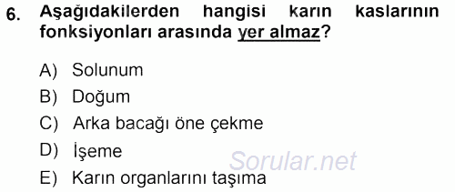 Temel Veteriner Anatomi 2013 - 2014 Tek Ders Sınavı 6.Soru