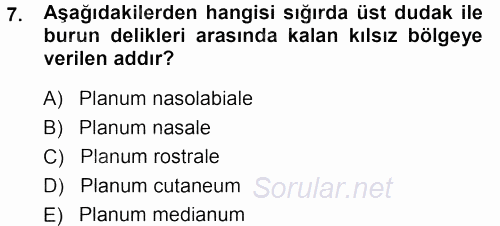 Temel Veteriner Anatomi 2013 - 2014 Tek Ders Sınavı 7.Soru