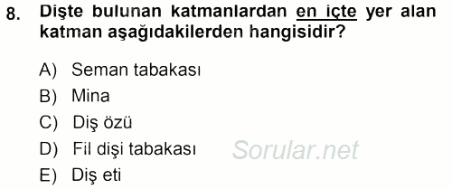 Temel Veteriner Anatomi 2013 - 2014 Tek Ders Sınavı 8.Soru