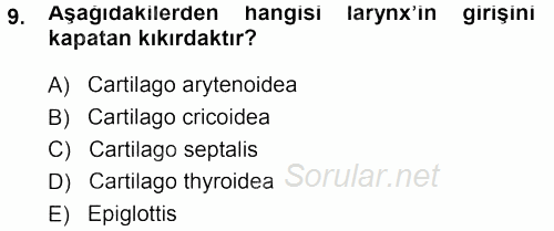 Temel Veteriner Anatomi 2013 - 2014 Tek Ders Sınavı 9.Soru