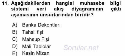 Muhasebede Bilgi Yönetimi 2016 - 2017 Ara Sınavı 11.Soru