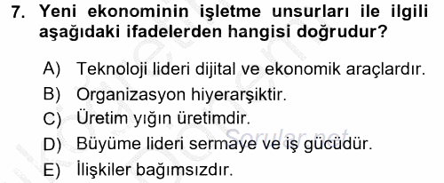 Muhasebede Bilgi Yönetimi 2016 - 2017 Ara Sınavı 7.Soru