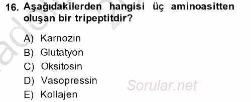 Temel Veteriner Biyokimya 2014 - 2015 Ara Sınavı 16.Soru