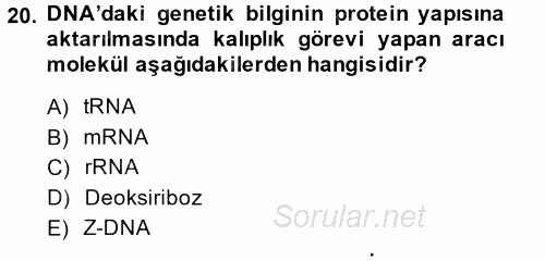 Temel Veteriner Biyokimya 2014 - 2015 Ara Sınavı 20.Soru