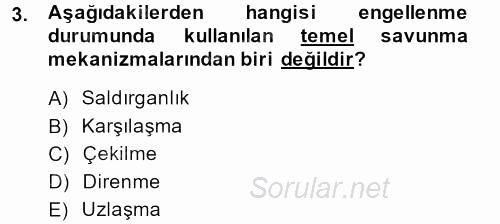 Sosyal Psikoloji 2 2013 - 2014 Ara Sınavı 3.Soru