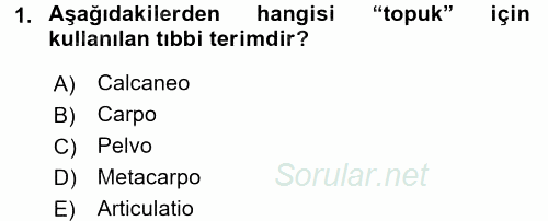 Tıbbi Terminoloji 2016 - 2017 3 Ders Sınavı 1.Soru