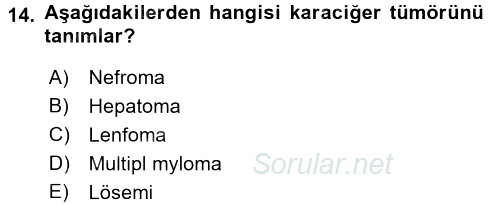 Tıbbi Terminoloji 2016 - 2017 3 Ders Sınavı 14.Soru