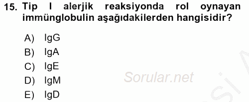 Tıbbi Terminoloji 2016 - 2017 3 Ders Sınavı 15.Soru