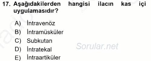 Tıbbi Terminoloji 2016 - 2017 3 Ders Sınavı 17.Soru